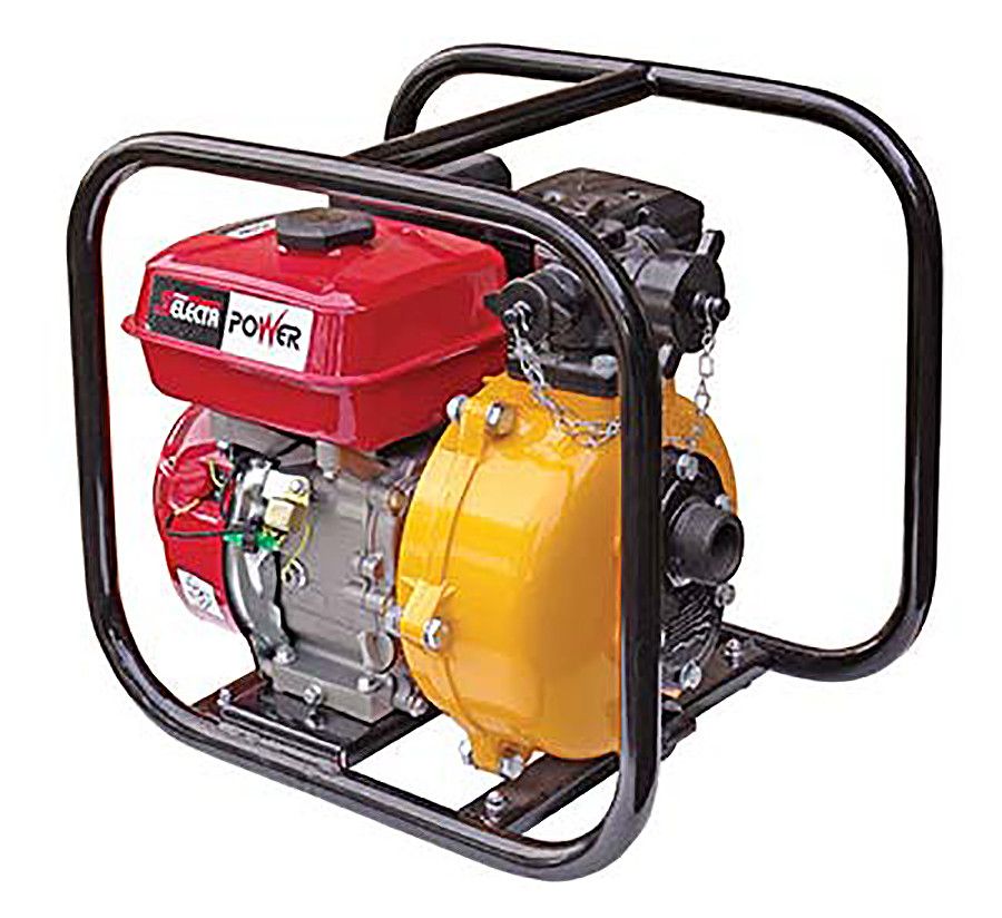 Silvan Pumps