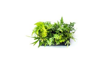 Holman Greenwall - Original Vertical Planting Kit GW1001