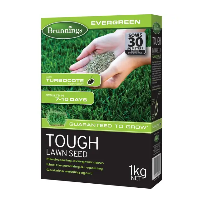 Brunnings 1kg Evergreen Tough Lawn Seed 11500