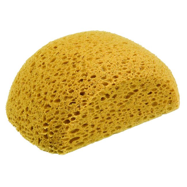 DTA Turtle Back Sponge 180mm DTATBS