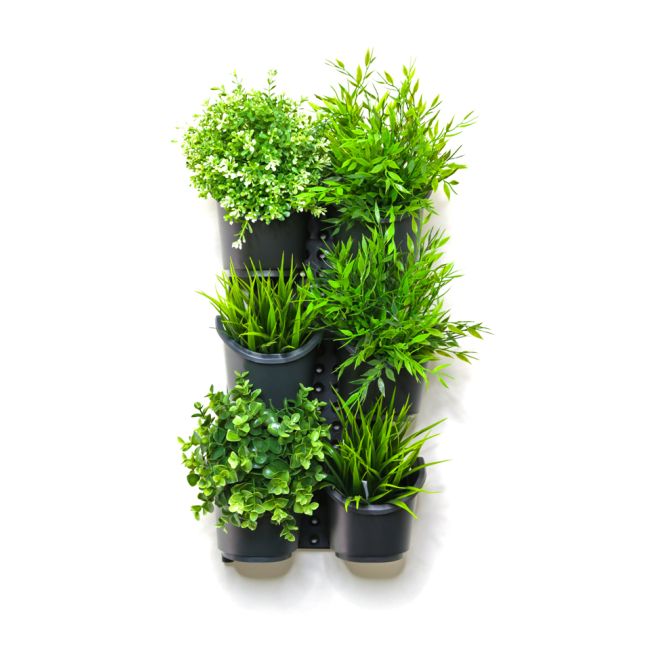 Holman GreenWall - Slim Wall Mounted Kit (6 Pots) GW1006