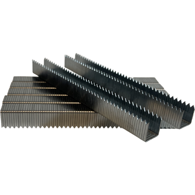 Giraffe 10MM Galvanized Chisel Point Staples Suits T50 Staplers 5000PK T50-10