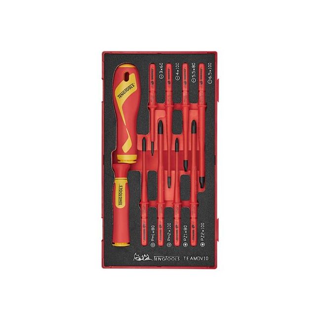 Teng 10PC Insulated Interchangeable Blade Screwdriver Set TE-TEAMDV10