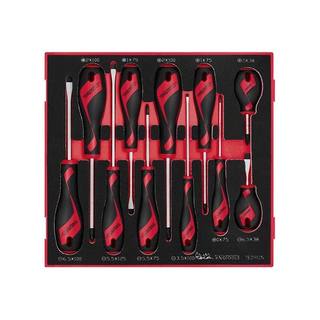 Teng 11PC MD Screwdriver Set TE-TED911N