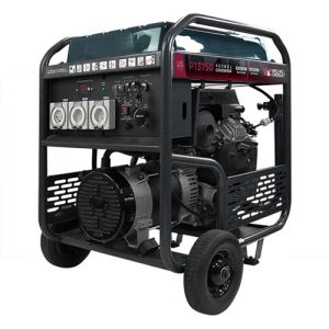 Welling & Crossley 13.75 kVA Open Frame AVR Petrol Generator with E-Start WC-P13750