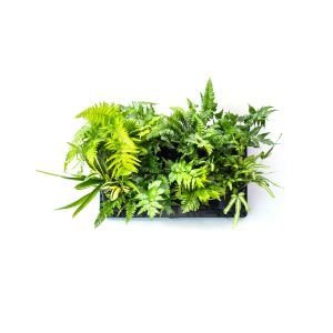 Holman Greenwall - Original Vertical Planting Kit GW1001