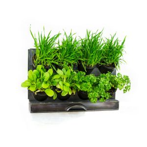 Holman GreenWall Free Standing Bench Top Planter Kit (8 Pots) GW1008