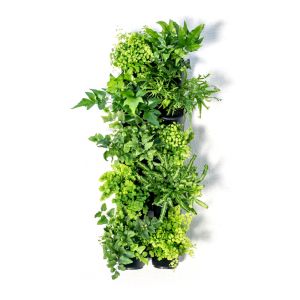 Holman GreenWall - 10 Pot Kit GWP10K