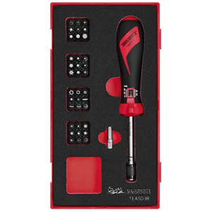 Teng 38PC 1/4" Dr 1-5NM Torque Screwdriver Set TE-TEASD38