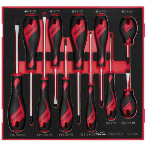 Teng 11PC MD Screwdriver Set TE-TED911N